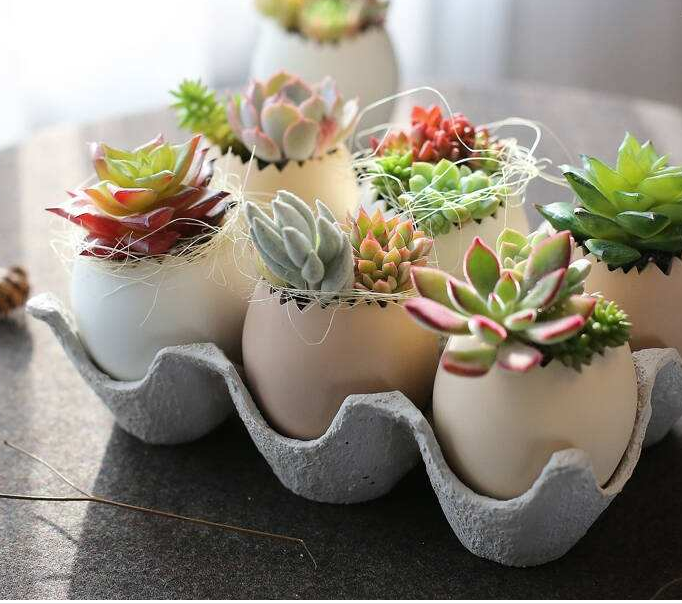 ���ЙC(j��)